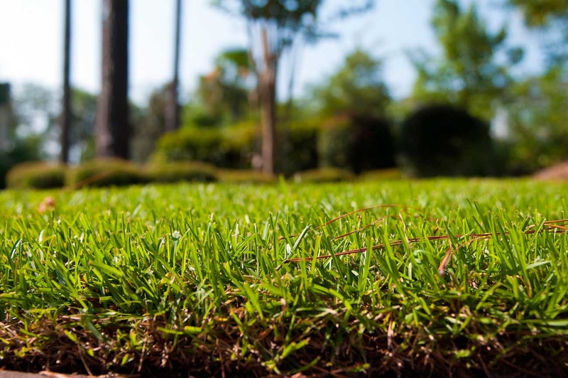 Winterize Your Lawn