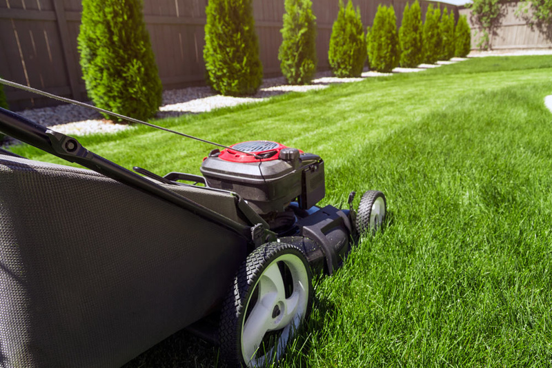 lawn mowing care services service landscaping landscape maintenance mower removal weekly hambleton snow garden faq mackillop turf height dry cut
