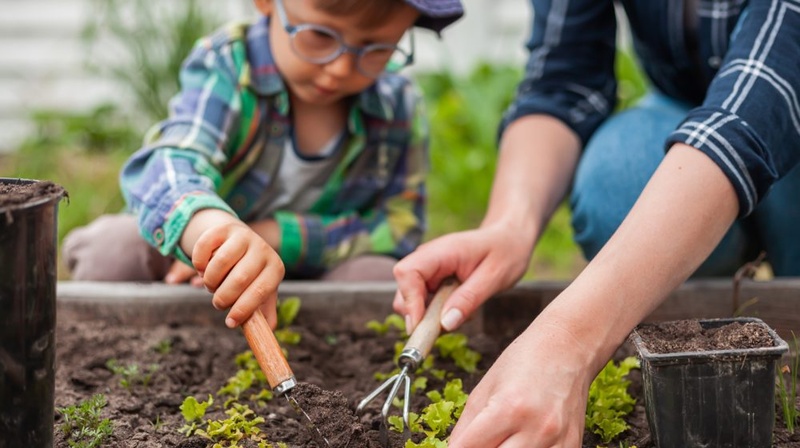 Florida vegetable gardening with kids