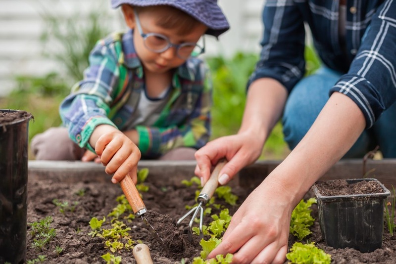 Vegetable Gardening with Kids – Floralawn