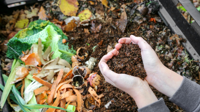 Composting in Florida landscape