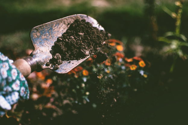 The Science of Soil: Understanding Your Garden’s Foundation