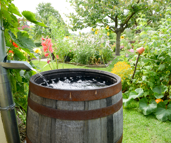 Eco-Friendly Landscaping Practices for Florida Homes