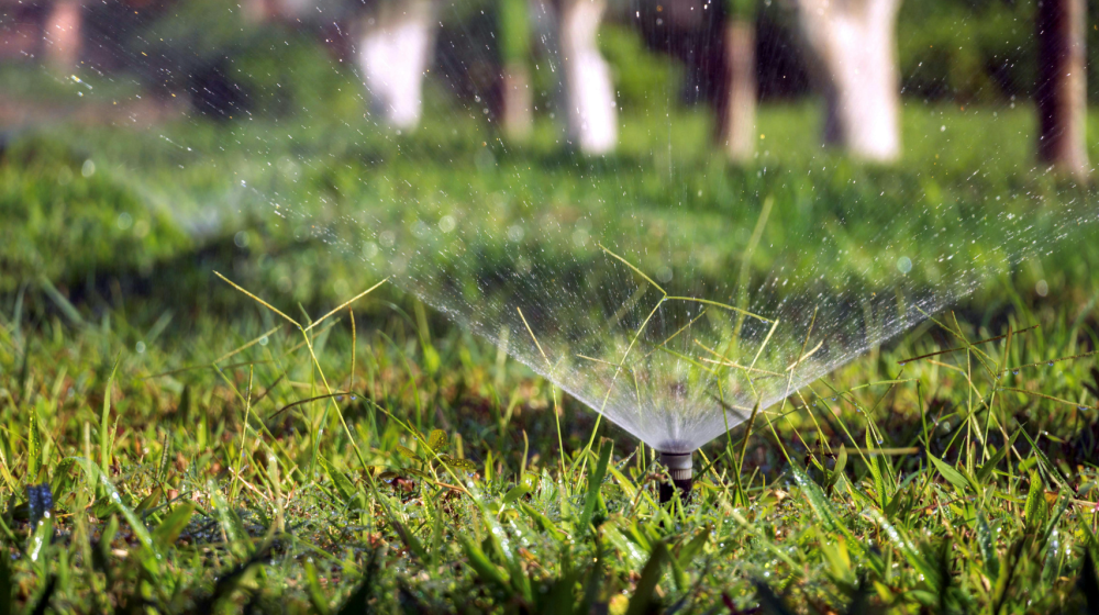 Best Practices for Irrigation in a Hot Climate