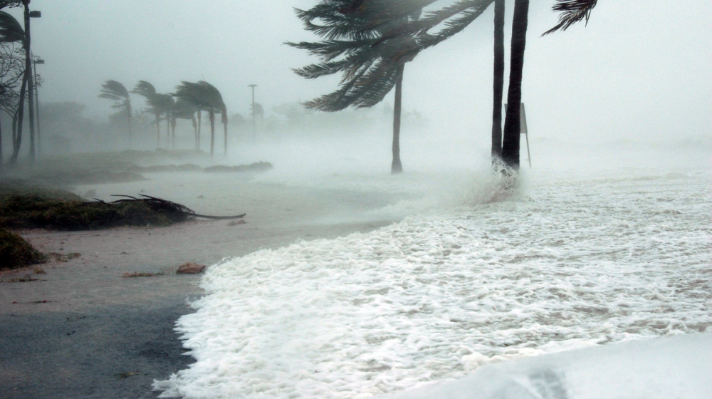 How to Protect Your Yard During Hurricane Season