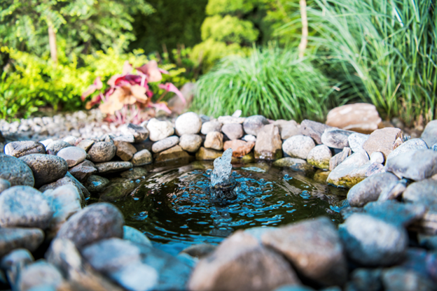 Landscape with Water Features: Fountains, Ponds, and More