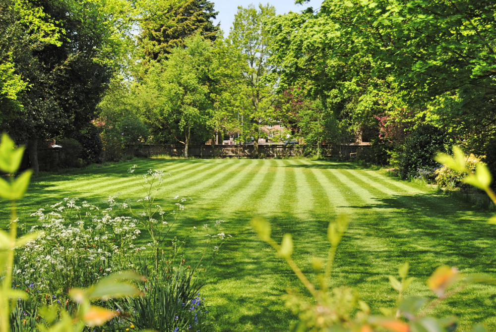 How to Combat Florida Lawn Diseases – Floralawn
