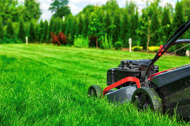Late Summer Lawn Care: Keep Your Grass Green and Healthy