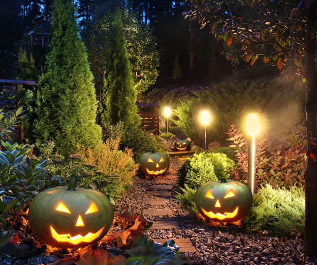 Spooky Landscaping Ideas for a Festive Halloween Yard