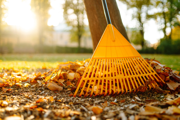 End-of-Year Yard Cleanup: Getting Ready for 2026