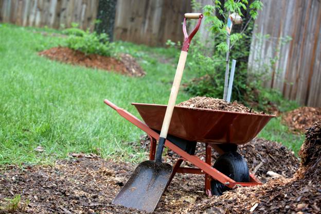 Prepare Your Yard for Success in 2026